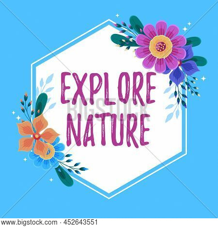Text Sign Showing Explore Nature. Business Overview Reserve Campsite Conservation Expedition Safari 