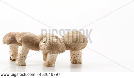 Portrait Of Eringii Mushrooms Separated On White Background