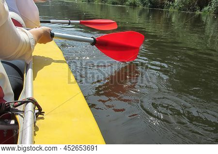Three Paddles Are Displayed In A Row In The Hands Of The People Floating In The Kayak. The Paddles A