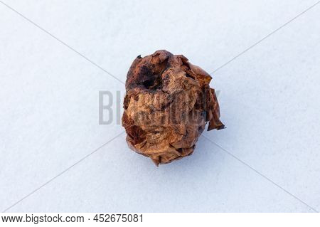 Old Mummified Rotten Apple On White Snow