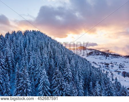 An Aerial View Of A Forest Covered With White Snow In Winter In Fundata,romania, Europe