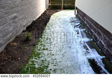 A Shower Of Hail Covered The Lawn In The Garden. Daisy Flowers Closed The Petals In Shock. Spring Va
