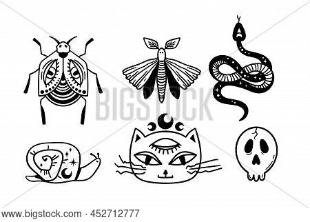 Mystical Trippy Isolated Cliparts Bundle, Goblincore Aesthetics, Mystical Black Cat, Snake, Moth, Sn
