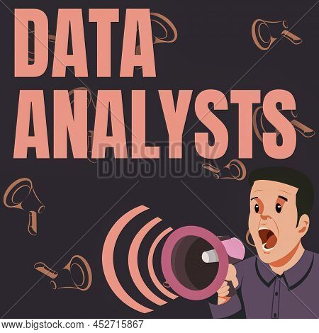 Text Showing Inspiration Data Analysts. Conceptual Photo Programmer Design And Create Report Identif