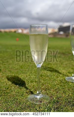 Celebration Of Championship With Glasses Of Champagne Bubbles Wine On Green Lawn Of Golf Club