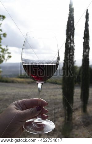 Tasting Of Red Sangiovese Wine With Typical Hilly Vineyards And Cypress Tree On Background Near Mont
