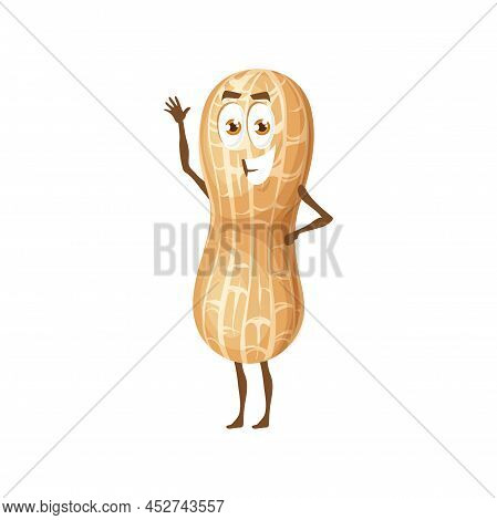 Funny Peanut Or Groundnut, Nut Character For Yummy Food, Vector Cartoon Personage. Cute Smiling Pean