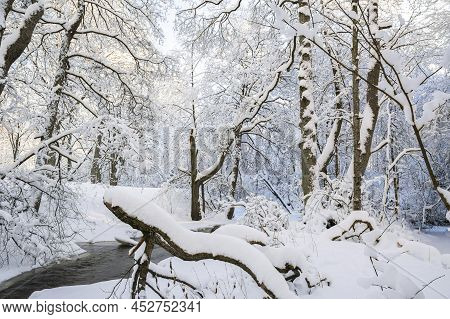 Mankinjoki Rapids Area In Winter, Espoonkartano, Espoo, Finland