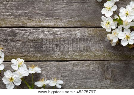 Vårblommor
