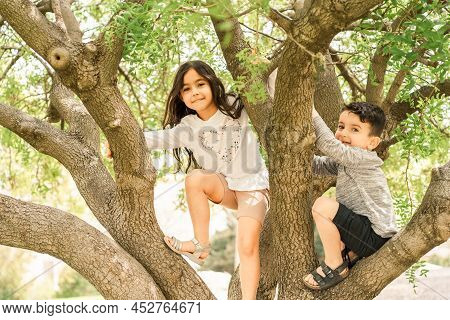 Kids Playing In The Summer Park Climbing On The Tree. Happy Children Smile Playing On Tree In Spring