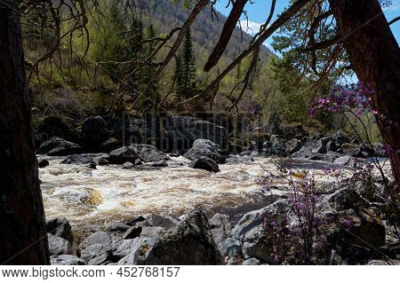 Rapid Streams Of The Chulcha River From The Uchar Waterfall, Altai Republic, Russia.