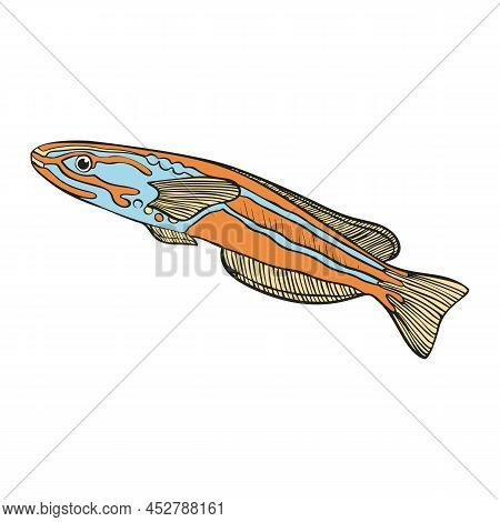 Hand Drawn Reef Tropical Fishes. Sea And Ocean Animals Vector Clop Art. Vector Illustration