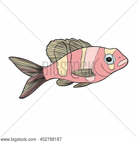 Hand Drawn Reef Tropical Fishes. Sea And Ocean Animals Vector Clop Art. Vector Illustration