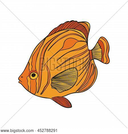Hand Drawn Reef Tropical Fishes. Sea And Ocean Animals Vector Clop Art. Vector Illustration