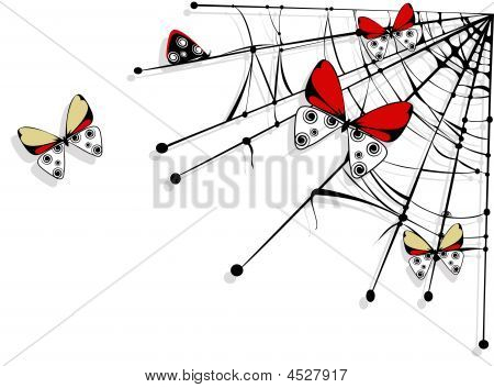 De vlinders en een Web