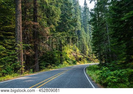 A Long Way Down The Road Of Mt Rainer Np, Washington