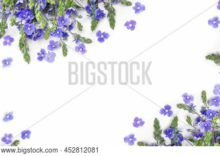 Bouquet Of Blue Flowers Speedwell ( Veronica Chamaedrys, The Germander Speedwell, Or Cat's Eyes ) On