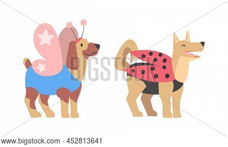 Funny Dog Animals In Butterfly And Ladybugl Costumes Set. Cute Pets Dressed For Carnival Party Carto