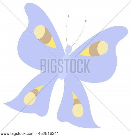 Butterfly. Peacock Eye. Purple Insect With Patterned Wings. Color Vector Illustration. A Creature Bo