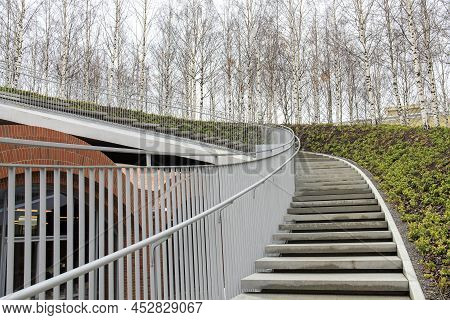 Tall Modern Winding Staircase With Railings In A Birch Grove