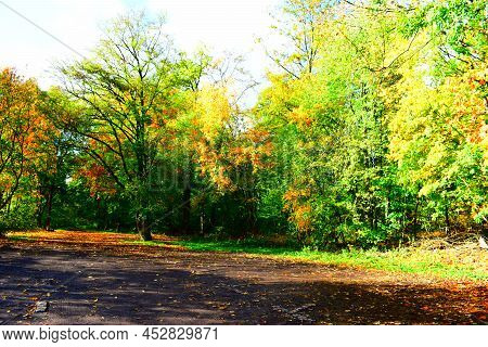 Parking Lot At The Holzmaar In The Eifel