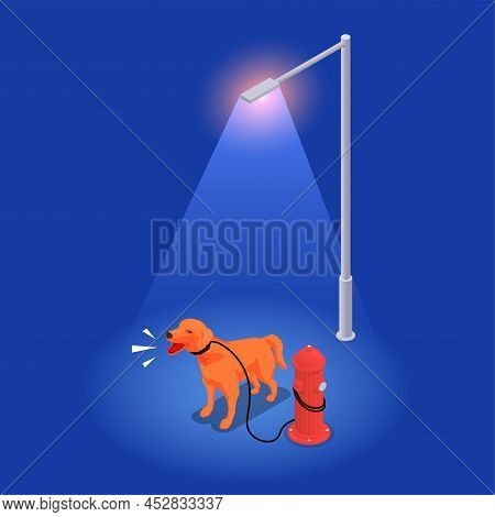 Noice Pollution Isometric Concept With Dog Barking Under The Street Light Vector Illustration