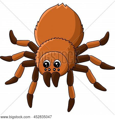 This Cartoon Illustration Shows A Tarantula Animal Illustration.