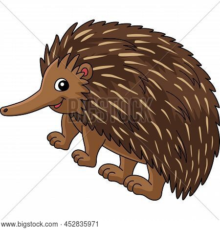 This Cartoon Illustration Shows An Echidna Animal Illustration.