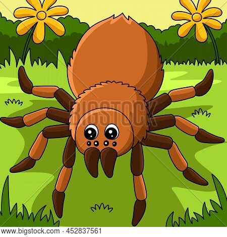 This Cartoon Illustration Shows A Tarantula Animal Illustration.