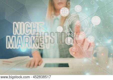 Conceptual Display Niche Market. Concept Meaning Subset Of The Market On Which Specific Product Is F