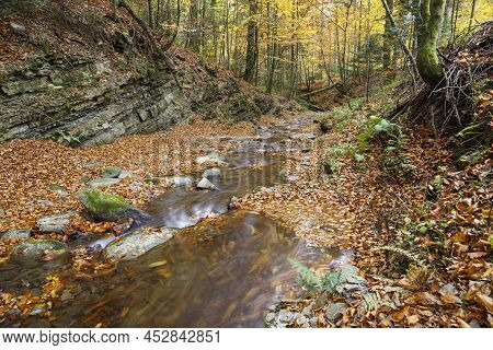 Nature Landscape With Leaf Fall On River, Covered Colorful Foliage,  In Mountain Gorge On Turichka R