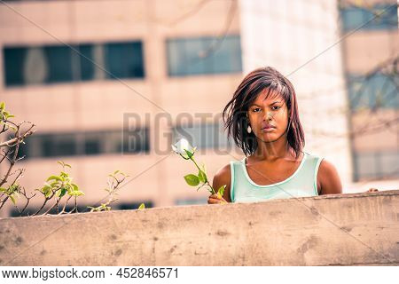 Love Story. Holding White Rose, Hair Floating In Wind, Young African American Woman Standing Behind 