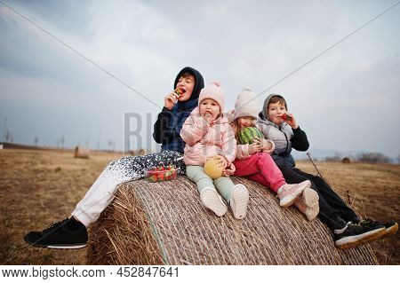 Four Kids With Fruits In Hands Sitting On Haycock At Field.