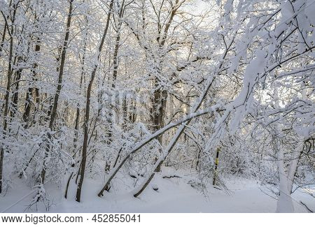Mankinjoki Rapids Area In Winter, Espoonkartano, Espoo, Finland