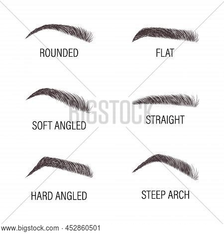 Female Eyebrows. Various Forms And Types. Arch Brows Shapes. Linear Vector Illustration In Trendy Mi