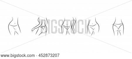 Beautiful Sexy Female Body Linear Sketch. Nude Woman Silhouettes Set. Black Outline On A White Backg