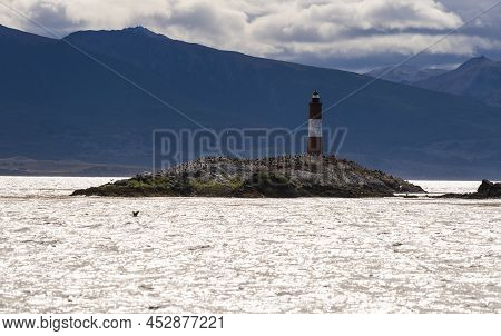 View Of Sea Lions And Cormorants On Les Eclaireurs Island With Lighthouse, Ushuaia, Tierra Del Fuego