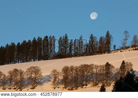Moon In The Forest With Snow In Winter