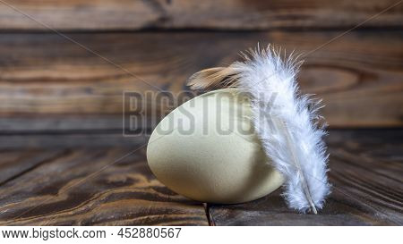 Araucana Egg With Feather On Wooden Background. Light Blue Egg From Araucana Chicken. Easter Festiva