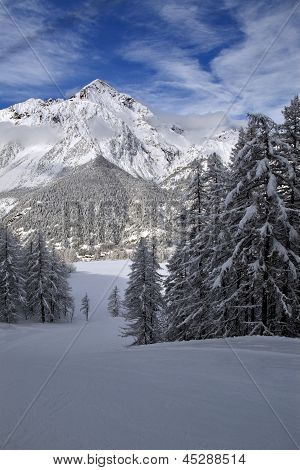 Mountain view