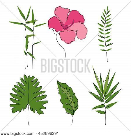 Set Of Exotic Tropical Botany Split Leaf, Bamboo Leaf, Hibiscus Flower, Hawaiian Flower. Outline Vec