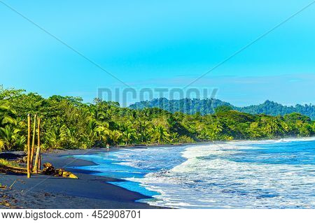 Playa Negro Beach, Tropical Beach With Beautiful Vegetation And Black Sand, Punta Uva, Puerto Viejo,