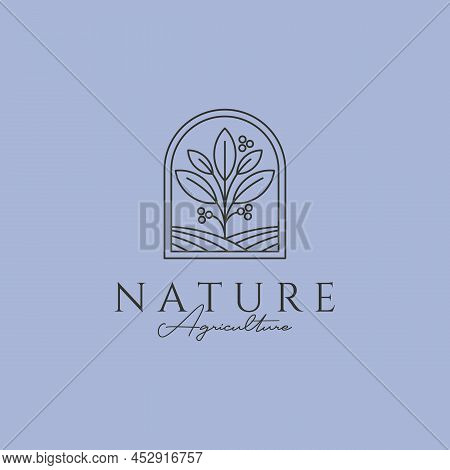 Nature Tree Line Logo Vector Symbol Illustration Design, Line Art Tree Logo Design
