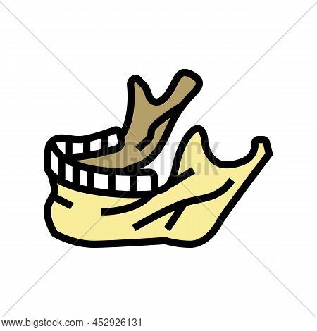 Jaw Bone Color Icon Vector. Jaw Bone Sign. Isolated Symbol Illustration