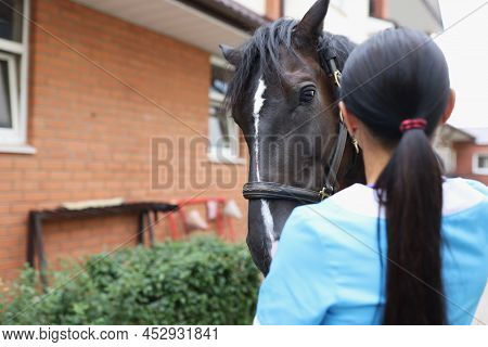 Veterinarian Conducts Medical Examination Of Horse On Farm. Medical Diagnosis Of Diseases Concept