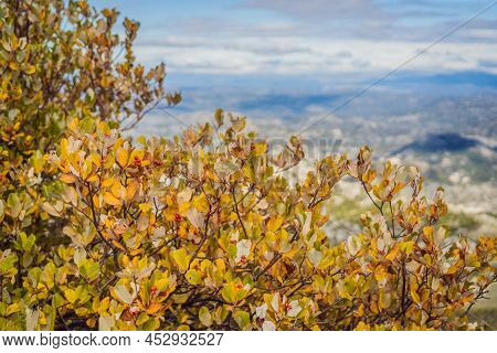 Summer Mountain Landscape At National Park Lovcen, Montenegro. Sunny Summer Day