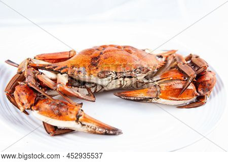 Close Up Of A Just Cooked Callinectes Sapidus Commonly called  Jaiba In Colombia Isolated On White B