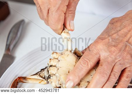 Close Up Of  The Process Of Breaking Down A Fresh Crab To Take Out The Flesh