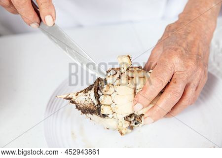 Close Up Of  The Process Of Breaking Down A Fresh Crab To Take Out The Flesh