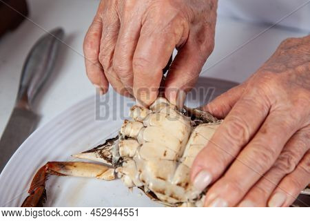 Close Up Of  The Process Of Breaking Down A Fresh Crab To Take Out The Flesh